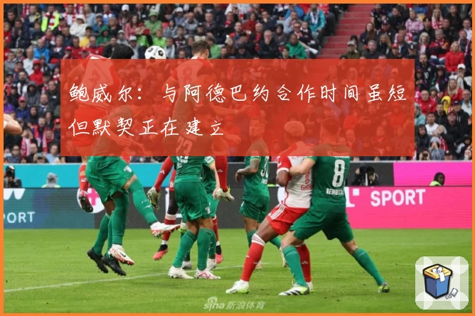 鲍威尔：与阿德巴约合作时间虽短但默契正在建立