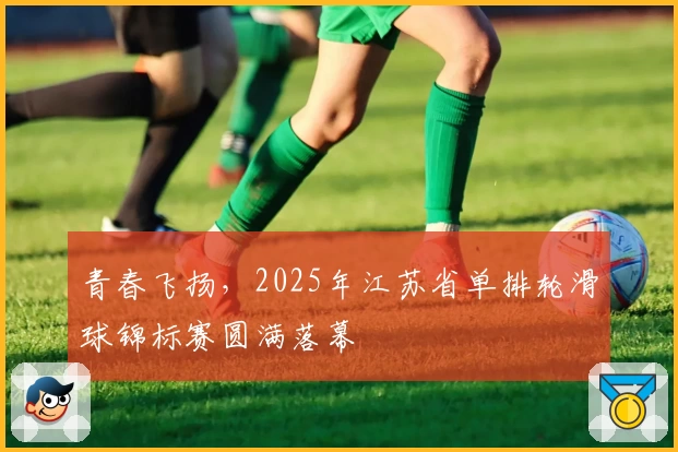 青春飞扬，2025年江苏省单排轮滑球锦标赛圆满落幕